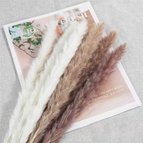 Dried Flowers Pampas Grass Mixed Bunny Rabbit Tail Lagurus Bouquet Wedding Christmas Decoration Natural Reed Flower Home Decora (Color: combination)