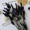 Dried Flowers Pampas Grass Mixed Bunny Rabbit Tail Lagurus Bouquet Wedding Christmas Decoration Natural Reed Flower Home Decora